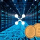 Visual representation of AI Cloud Mining operations, symbolizing secure and stable crypto returns for investors.