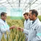 Biostimulant startup research team analyzing crop growth data in modern agricultural laboratory