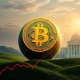 A visual representation illustrating the impressive growth of Bitcoin's market share within the global financial system.