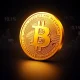 Bitcoin rarity visualization showing elite ownership statistics and global distribution data