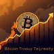 Illustrates the significant growth in Bitcoin Treasury holdings by major public companies like Metaplanet and The Smarter Web Company, showcasing their strategic investments.