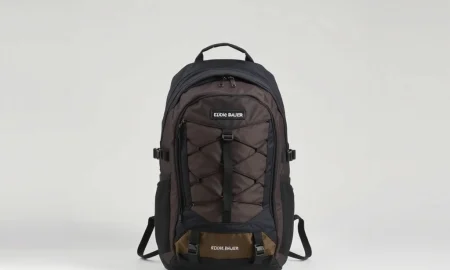 A durable and functional Eddie Bauer backpack, highlighting its versatile design and practical features for everyday use.