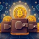 El Salvador's innovative Bitcoin security strategy against quantum computing threats with multiple wallet distribution
