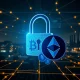 Visualizing the severe financial threat posed by Embargo ransomware, with crypto assets at risk.