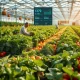 Essential food inflation stock investment opportunity in fresh produce during economic uncertainty