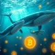 Hyperliquid whales manipulating cryptocurrency market with massive XPL trades