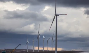 Wind farm operator's halted project showing partially built turbines amid regulatory uncertainty