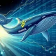 Binance leading crypto consolidation with institutional whales in digital financial markets