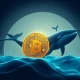 Bitcoin bull run showing price growth chart with institutional investor activity and market maturity indicators