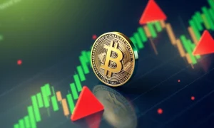 Bitcoin holders profit analysis with market warning indicators and price chart
