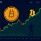 Bitcoin price analysis showing critical support level and investor decision points