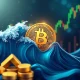 Bitcoin strategic hedge protecting investment portfolio from market volatility waves