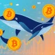 Bitcoin whale activity driving cryptocurrency market volatility through large transactions