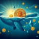 Bitcoin whale transferring massive funds to Ethereum blockchain during capital rotation