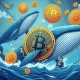 Bitcoin whale selling impact on market volatility and institutional accumulation patterns
