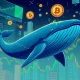 Bitcoin withdrawal analysis showing institutional whale movements affecting market volatility