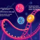 Cardano price volatility analysis showing institutional accumulation patterns during market dips