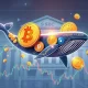 Cardano whales influencing cryptocurrency market during SEC regulatory decisions