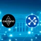 Cardano-XRP collaboration enabling seamless blockchain interoperability for institutional DeFi adoption