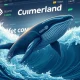 Cumberland's potential WLFI token market entry analysis showing whale trading volatility