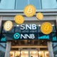 BNB adoption transforming traditional banking institutions with digital currency integration