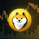 Stable DOGE open interest analysis showing cryptocurrency market resilience during trading slowdown