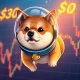 Dogecoin price analysis showing critical $0.30 resistance level with whale activity and ETF speculation indicators
