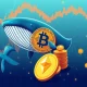 Bitcoin whale transforming into Ethereum showing major cryptocurrency shift
