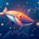 Ethereum price analysis showing whale accumulation and critical resistance levels