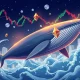 Ethereum whale activity influencing market volatility and liquidity through large transactions