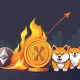 MAGACOIN FINANCE outperforming Ethereum XRP and Shiba Inu as premier cryptocurrency investment