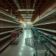 Empty grocery store closure showing abandoned aisles and final days of operation