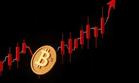 MUBARAK token catastrophic market crash showing massive percentage decline