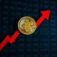 Nakamoto Holdings stock crash with bitcoin price decline chart showing investor panic