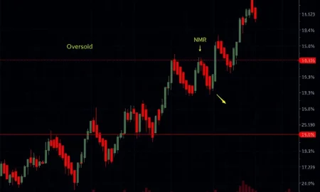 NMR cryptocurrency dramatic price collapse chart showing oversold technical indicators and market reassessment