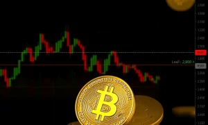 Orchid Bitcoin trading chart showing consolidation patterns with technical indicators for cryptocurrency analysis