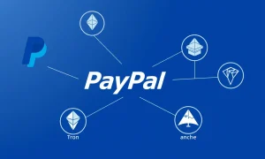 PayPal stablecoin integration across multiple blockchain networks showing financial connectivity