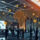 Ripple RLUSD transforming African institutional finance through blockchain technology