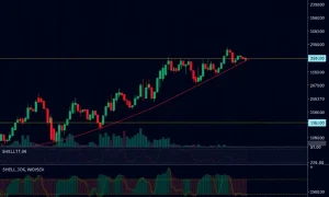 SHELLBTC technical analysis chart showing range-bound trading with key indicators for cryptocurrency traders