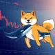 SHIB double bottom pattern analysis with whale accumulation signals