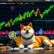 Shiba Inu price analysis showing market volatility and Bitcoin dominance decline in cryptocurrency trading
