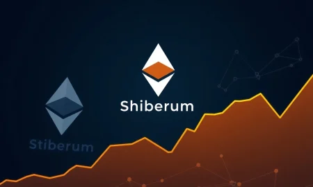Shibarium network transaction collapse showing dramatic 99.8% drop in Ethereum Layer-2 activity