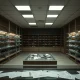Empty shoe store during Chapter 11 bankruptcy proceedings showing retail collapse