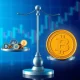 Strategic crypto allocation balancing Bitcoin stability with altcoin growth potential