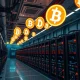 Thumzup's Dogecoin mining facility with advanced ASIC miners processing cryptocurrency transactions