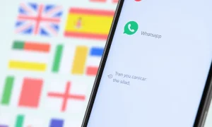 WhatsApp message translation feature showing multilingual chat interface