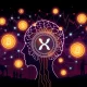 XRP investor psychology driving cryptocurrency market behavior and price movements