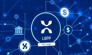 XRP Ledger DEX integration transforming institutional stablecoin infrastructure with USDC and blockchain technology