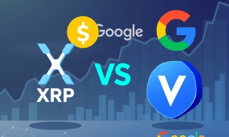 XRP news today showing cryptocurrency competition between Google blockchain and rising VET partnerships