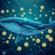 XRP whale activity analysis showing massive token movements and market impact